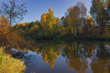 Sonbahar manzarası, orman ağaçları durgun nehir suyuna yansıyor mavi gökyüzü ve bulutların arka planına karşı.