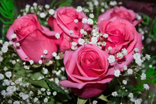 Růžové Růže Květinové Pozadí Krásná Kytice Květu Dlouhé Stonek Měkké — Stock fotografie