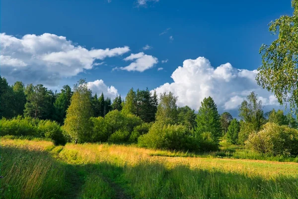 Paisaje Con Bosque Prado Verde Contra Cielo Nublado — Foto de Stock