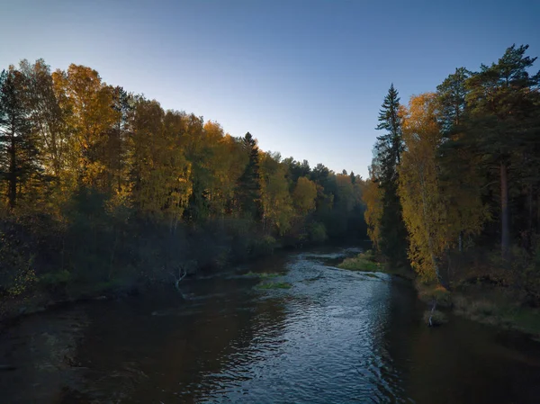 Podzimní Krajina Lesní Stromy Odrážejí Klidné Říční Vodě Pozadí Modré — Stock fotografie