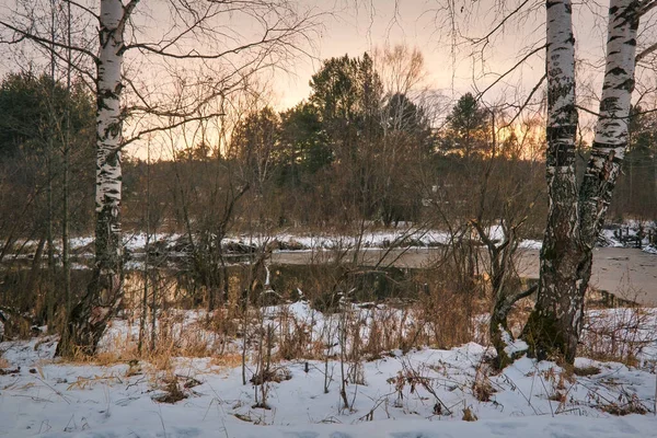 Buonasera Sul Fiume Bellissimo Paesaggio Invernale Vista Panoramica Fiume Inverno — Foto Stock