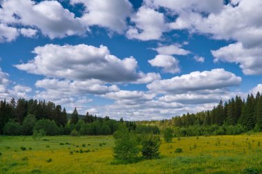 Gökyüzü ve bulutlara karşı orman ve yeşil çayır manzarası.