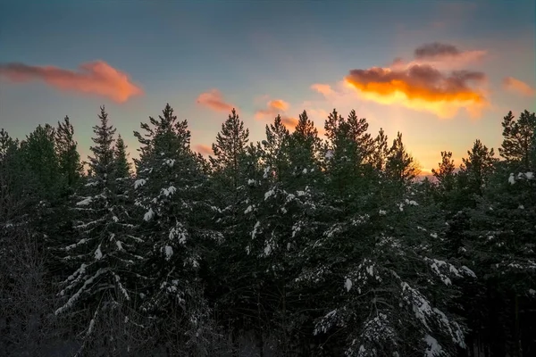 Majestätischer Sonnenuntergang Der Winterlichen Berglandschaft Sonnenaufgang Verschneiten Wald — Stockfoto