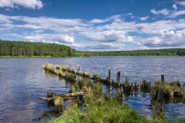 Ön planda yıkılmış yaya köprüsü olan nehir kıyısında yaz manzarası.