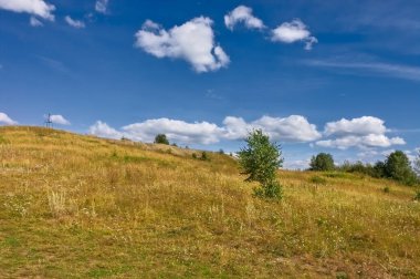 Ormanlı manzara ve bulutlu gökyüzüne karşı yeşil çayır.