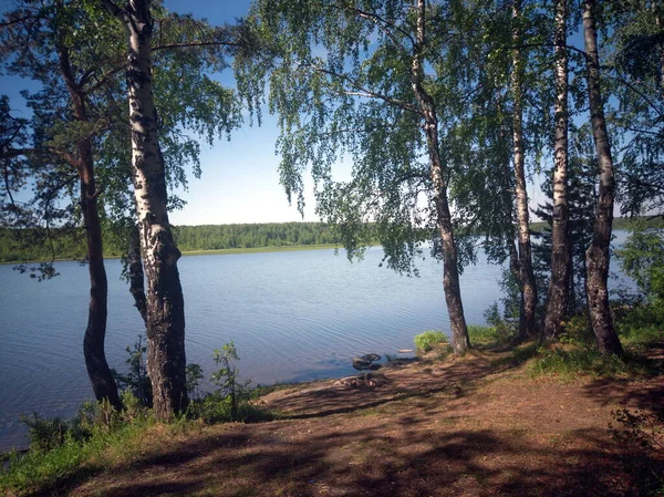 Ett Pittoreskt Sommarlandskap Vid Skogssjön Sommarlandskap Vid Sjön — Stockfoto