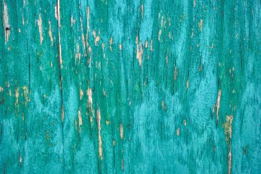 The texture of the old painted wooden surface in green close-up.