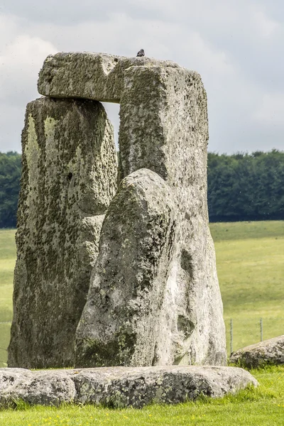 Stonehenge emlékmű közelében Salisbury, Wiltshire, Egyesült Királyság — Stock Fotó