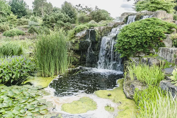 Kew ботанічний сад, Річмонд, Лондон, Великобританія — стокове фото