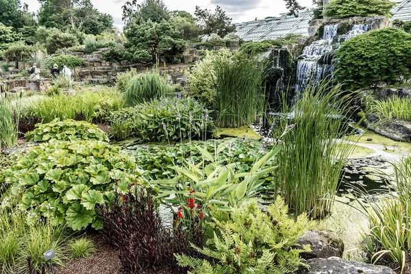 Kew Botanik Bahçesi, Richmond, Londra, İngiltere — Stok fotoğraf