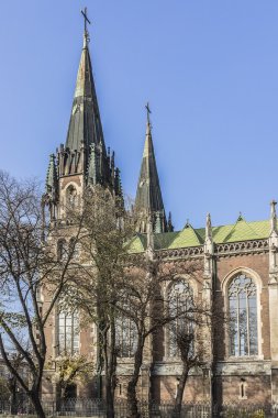 Katedral, Aziz Olga ve Elizabeth, Lviv, Ukrayna