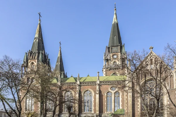 Katedralen i Saints Olga och Elizabeth, Lviv, Ukraina — Stockfoto