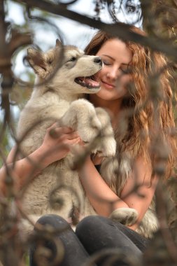 Güzel bir kadınla genç köpek Malamute