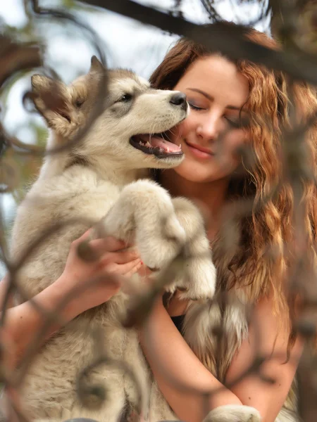 Vacker kvinna med ung hund Malamute — Stockfoto