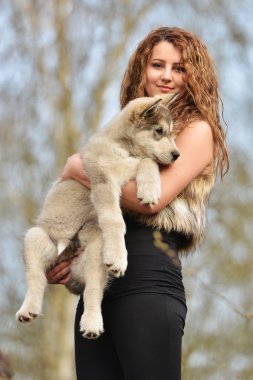 Alaskan malamute köpek