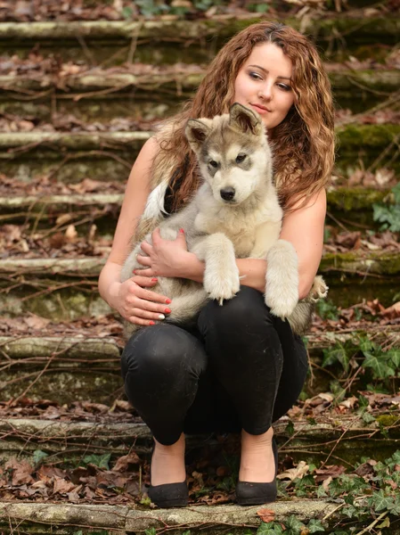 Young woman with dog — Stock Photo, Image