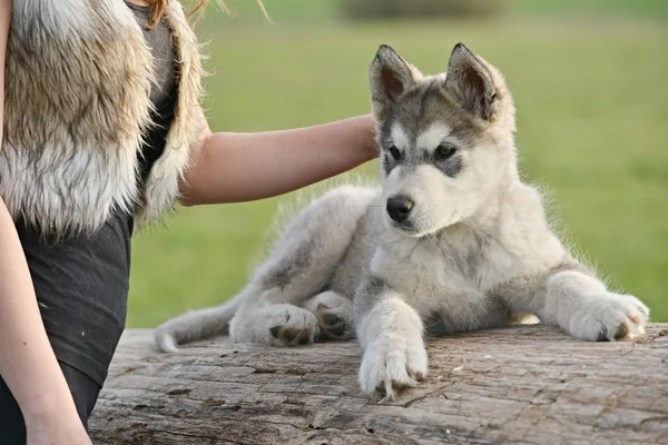 Ung kvinna med hund — Stockfoto