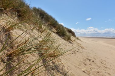 Sunny beach kumulları ile