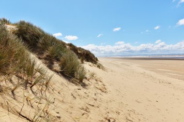 Sunny beach kumulları ile