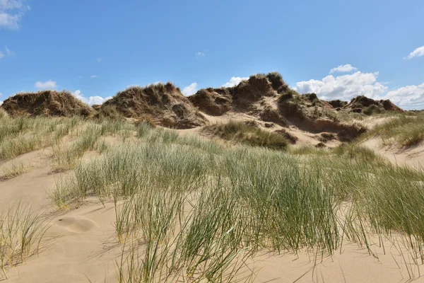 Сонячний пляж з піщаними дюнами — стокове фото