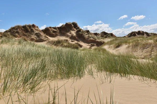 Sunny beach with sand dunes — Stock Photo, Image