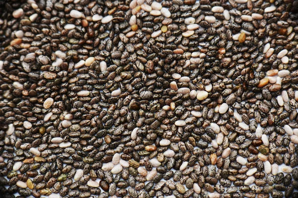 Sementes de chia isoladas em branco — Fotografia de Stock