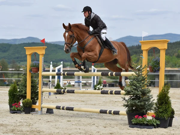 Jeune homme en saut d'obstacles — Photo