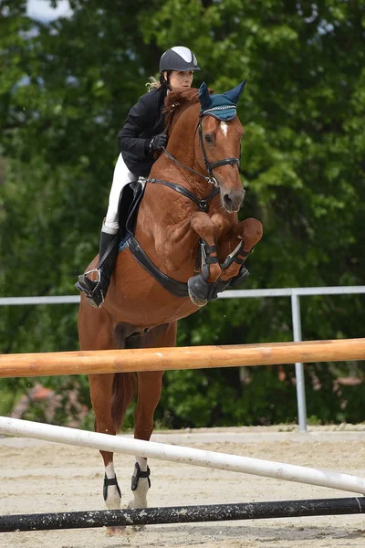 Mulher no show jumping — Fotografia de Stock