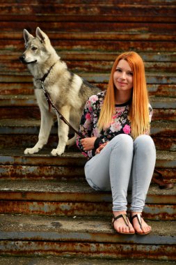 Çekoslovakya wolfdog kadınla