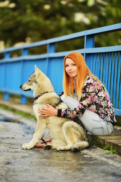 Жінка з чехословацькою вовчою собакою — стокове фото