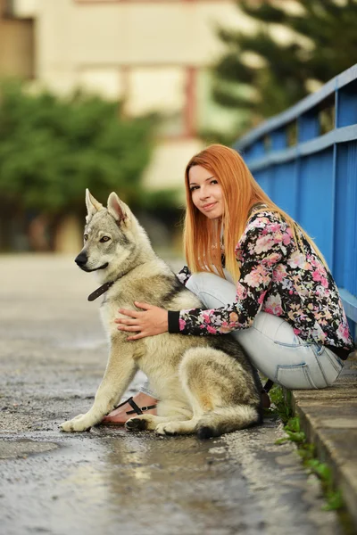 Žena s československého vlčáka — Stock fotografie