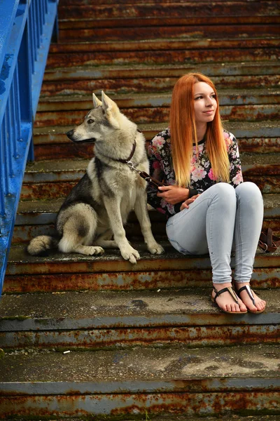 Žena s československého vlčáka — Stock fotografie