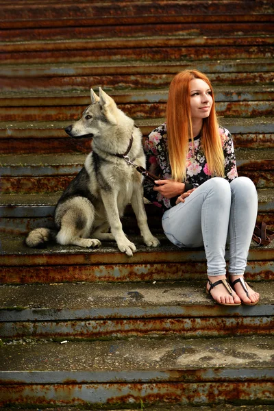 Γυναίκα με Τσεχοσλοβακίας wolfdog — Φωτογραφία Αρχείου