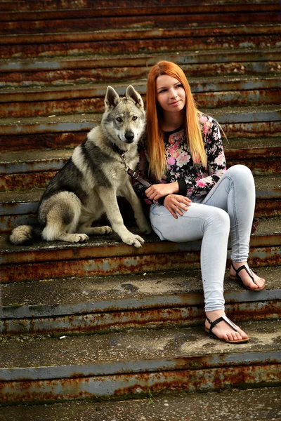 Çekoslovakya wolfdog kadınla — Stok fotoğraf