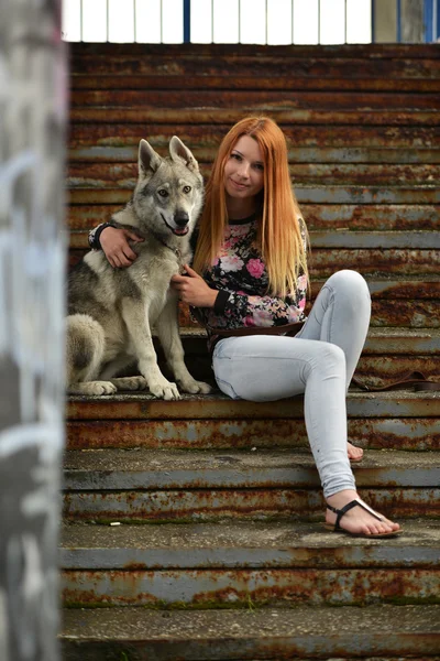 Γυναίκα με Τσεχοσλοβακίας wolfdog — Φωτογραφία Αρχείου