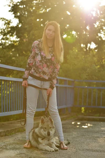 Mulher com czechoslovak wolfdog — Fotografia de Stock