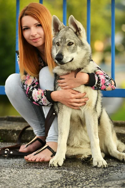 Жінка з чехословацькою вовчою собакою — стокове фото