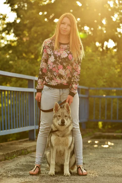 Woman with czechoslovak wolfdog — Stock Photo, Image