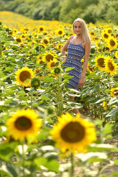 Beautiful woman surrounded by sunflowers — Stock Photo, Image