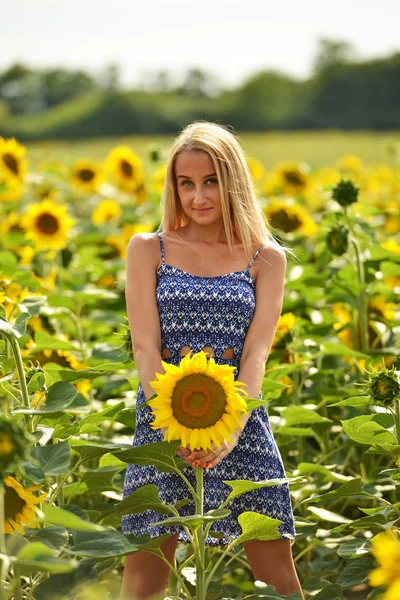 Schöne Frau umgeben von Sonnenblumen — Stockfoto