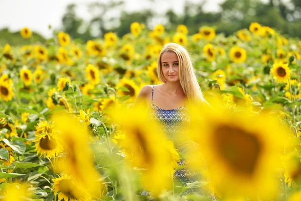 Schöne Frau umgeben von Sonnenblumen — Stockfoto