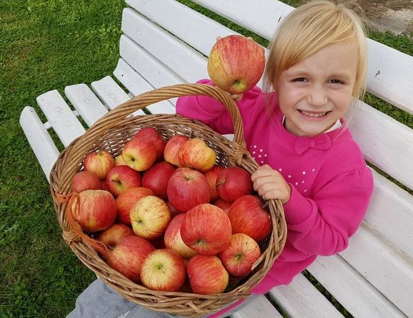 Schattige kleuter meisje plukken appels — Stockfoto