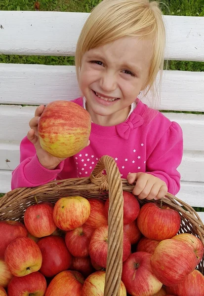 Schattige kleuter meisje plukken appels — Stockfoto