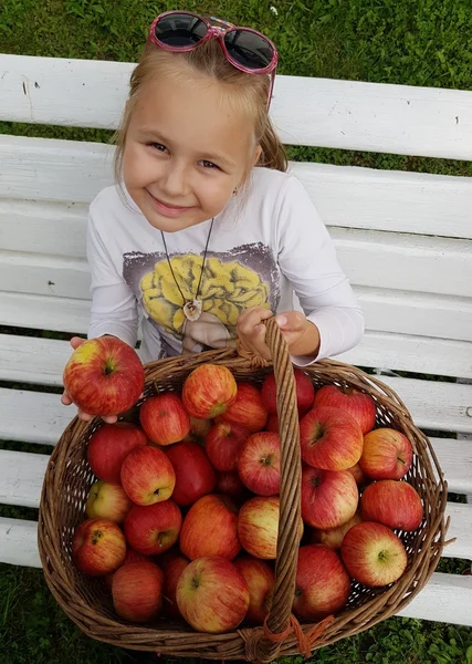 Chica recogiendo manzanas frescas —  Fotos de Stock