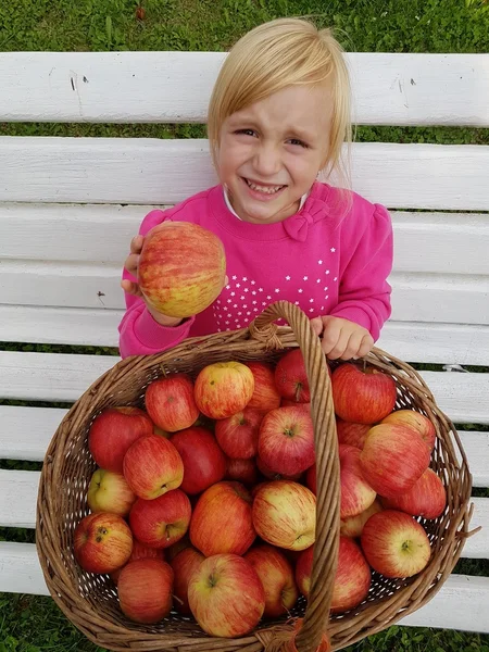 Schattige kleuter meisje plukken appels — Stockfoto