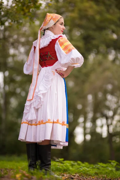 Detalle Vestido Mujer Lleva Trajes Folclóricos Tradicionales Europa Oriental Folklore Imagen De Stock