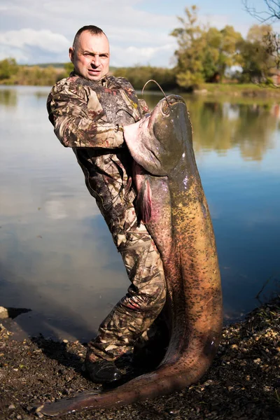 渔夫抱着一条巨大的鲶鱼 渔获量 淡水鱼 怪物鱼 — 图库照片