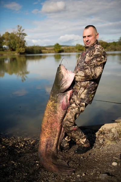 Rybak Trzymający Olbrzymiego Suma Połów Ryb Połowy Słodkowodne Ryby Potwory — Zdjęcie stockowe