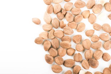 Beyaz arka plan üzerinde izole kayısı çekirdekleri