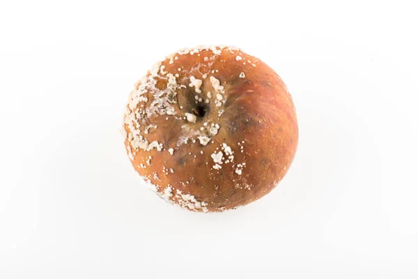 Dåligt Äpple Med Mögel — Stockfoto